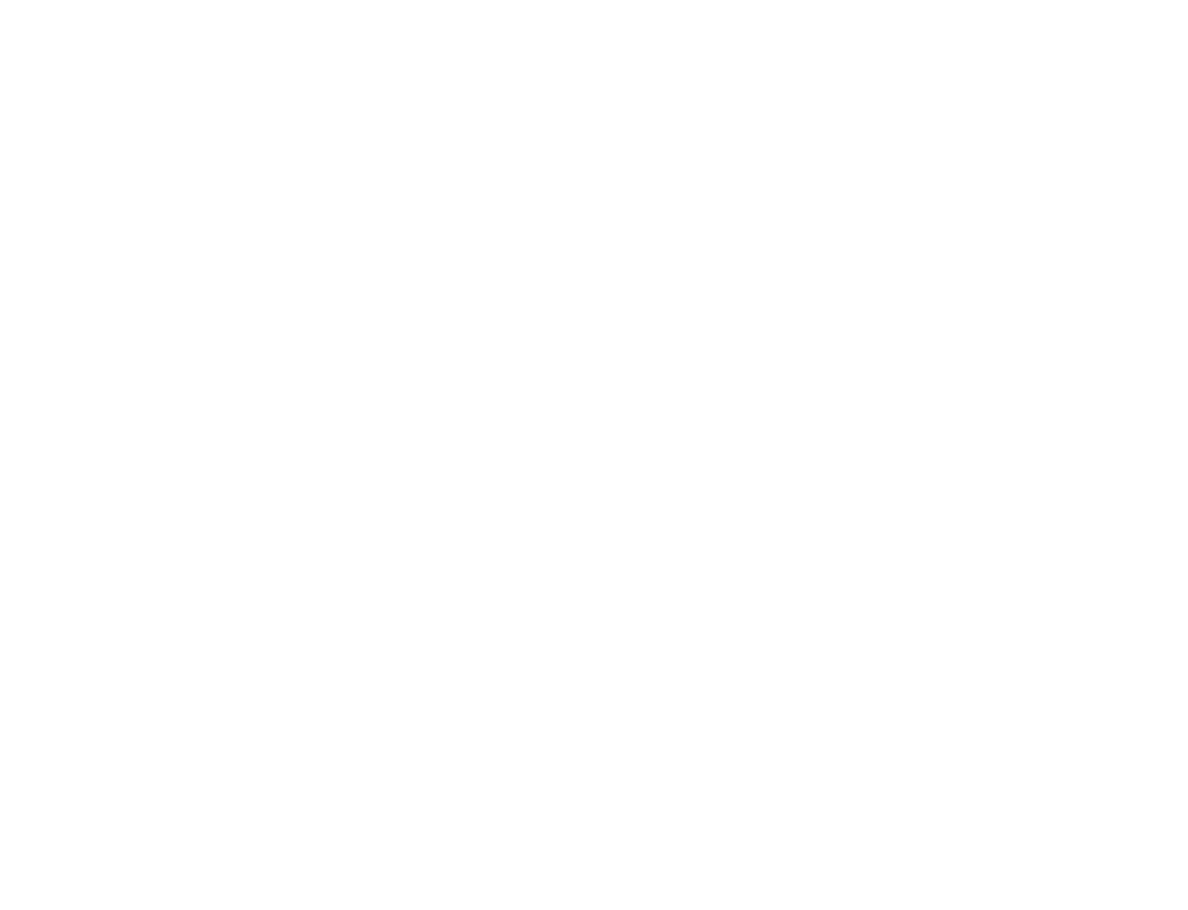 Lituma Cleaning Service Logo